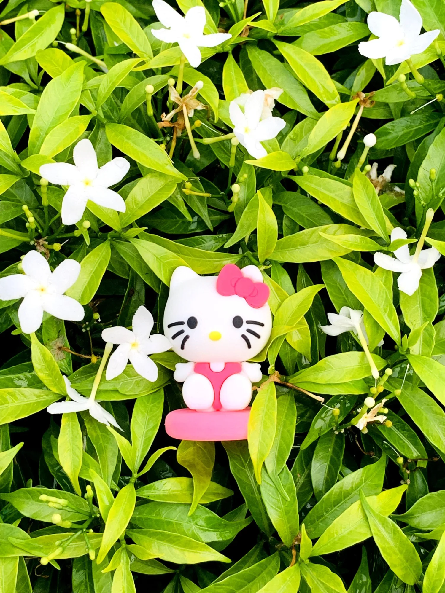 Hello Kitty Silicon Doll - 2