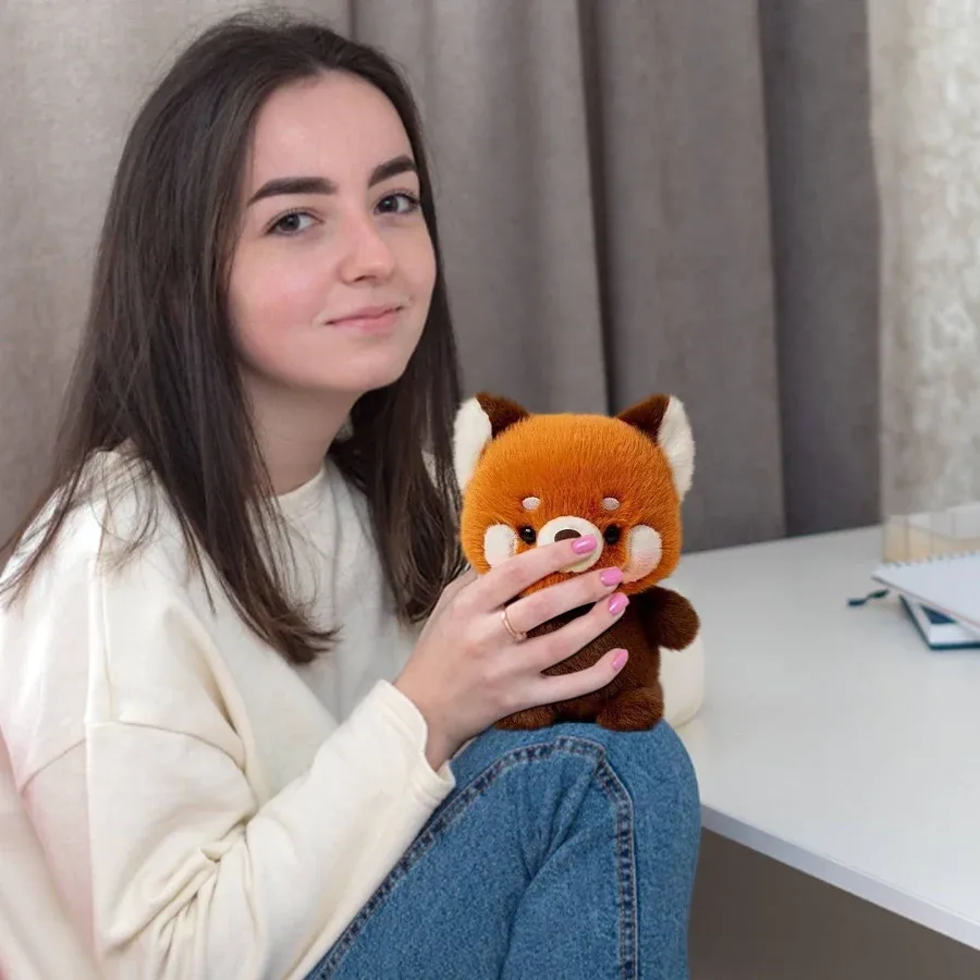 Raccoon Plush Toy - 2