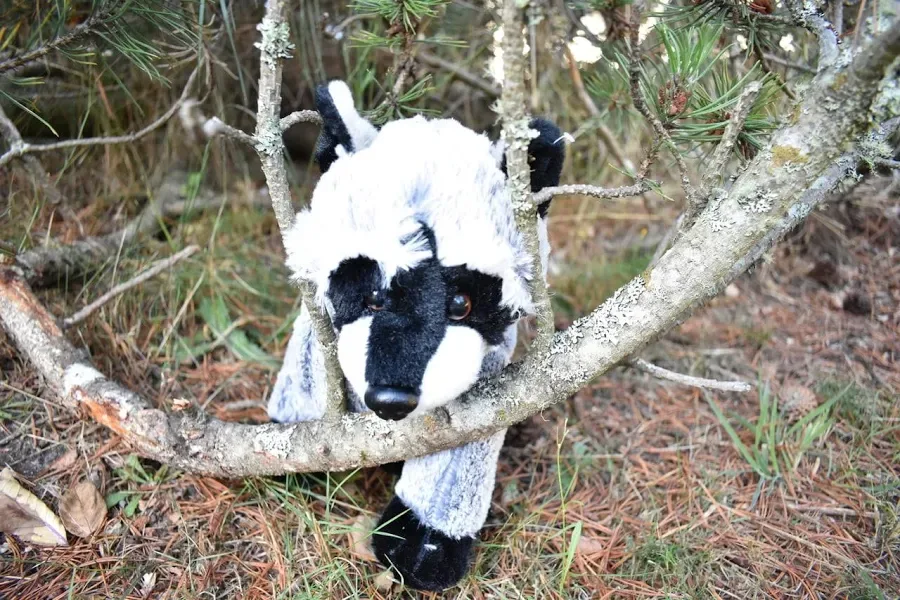 Raccoon Super Cute Soft Stuffed Realistic Plush Animal Gift Educational Toy - 6