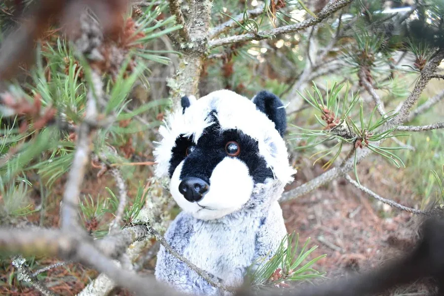 Raccoon Super Cute Soft Stuffed Realistic Plush Animal Gift Educational Toy - 3