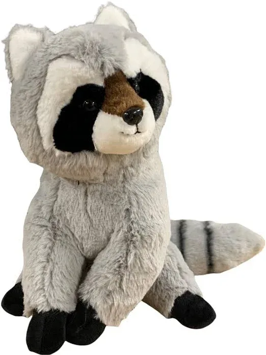 Wild Onez Raccoon - 2