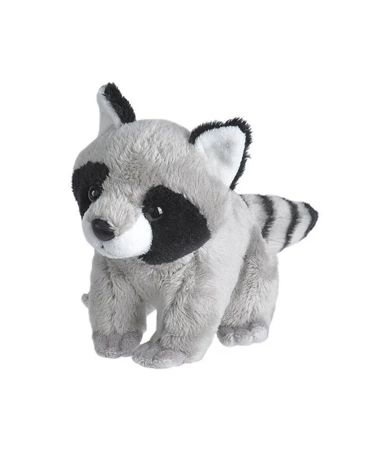 Wild Republic Pocketkins Eco Raccoon Plush - 4